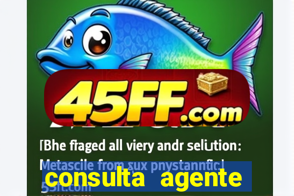 consulta agente autuador sp